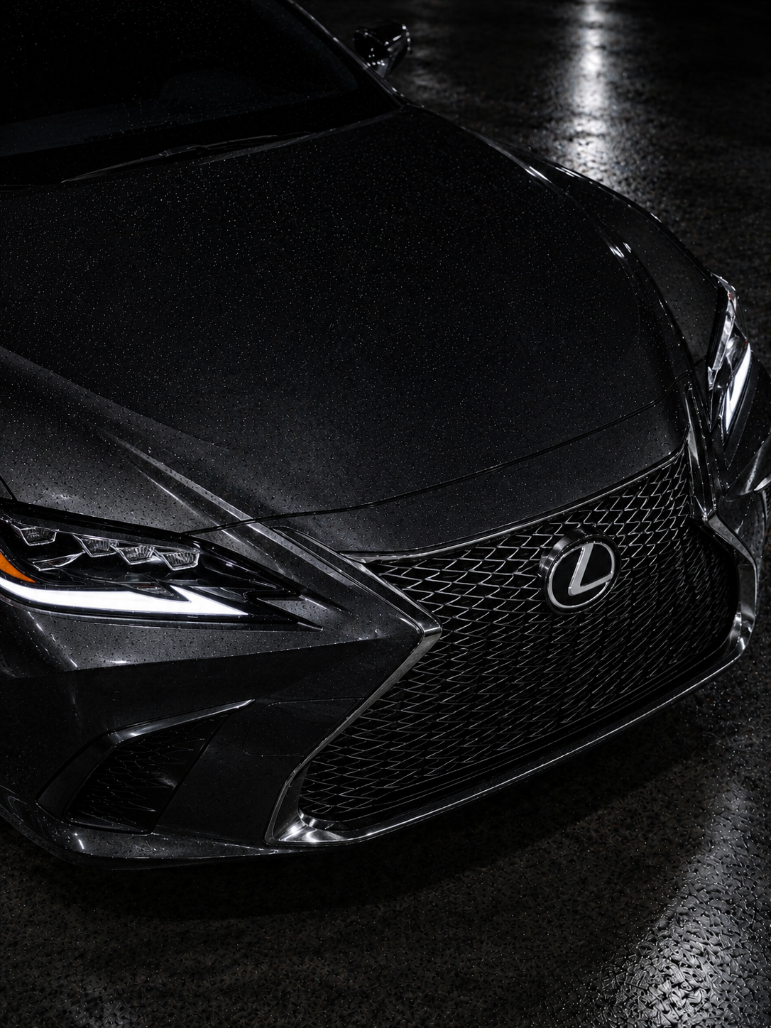 Lexus - передняя часть