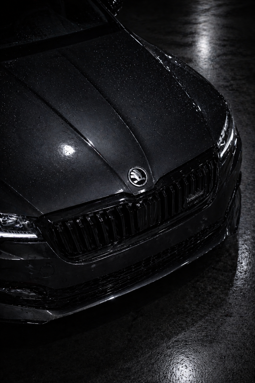 Передняя часть skoda
